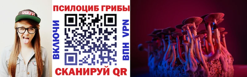 Псилоцибиновые грибы Magic Shrooms  где продают наркотики  Елизаветинская 