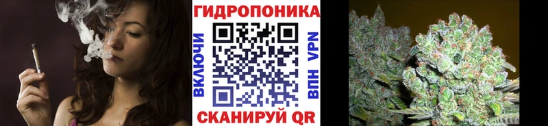 Бошки Шишки VHQ  Елизаветинская 
